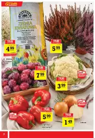 Gram Market gazetka tydzień 35 Strona 7: Papryka czerwona €5,99, Kalafior €3,99