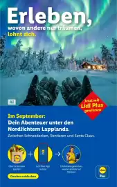 Lidl Flugblatt Seite 1