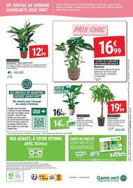 Catalogue Gamm vert page 4: Monstera €16,99, ECLOZ Spathiphyllum "Bingo Cupido" €12,99