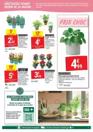 Catalogue Gamm vert page 3: Mélange de plantes vertes €4,00, ECLOZ Pilea peperomioides €4,99