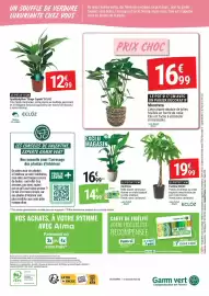 Catalogue Gamm vert page 4: Monstera €16,99, ECLOZ Spathiphyllum "Bingo Cupido" €12,99