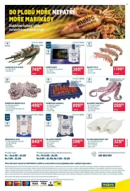 Makro leták Strana 24: Krevety celé €1.299,00, LANGUSTA CELÁ SYROVÁ €749,00