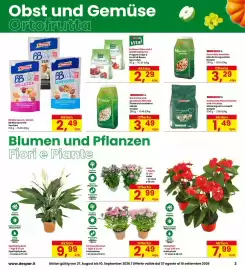 Volantino Interspar Pagina 3: BB Mix assortiti Ventura €2,49, Crisantemo €2,49