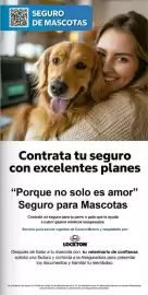 Catálogo Costco Página 13