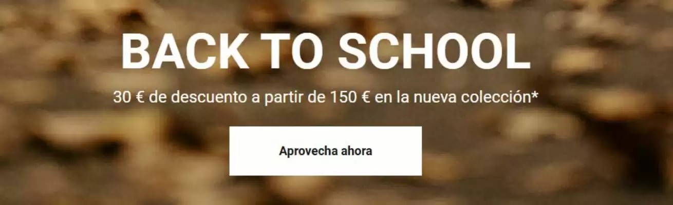 DC Shoes (válido hasta el 6-09)