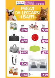 Volantino Ayoka Pagina 11: Trixie borsa dillon grigio e menta €34,90, Trixie divisorio in rete nero €7,90