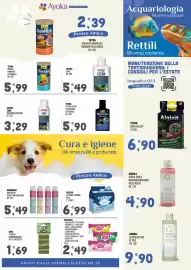 Volantino Ayoka Pagina 7: Inodorina maxi salviette detergenti €2,49, Inodorina deo spray €5,49