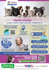 Volantino Ayoka Pagina 8