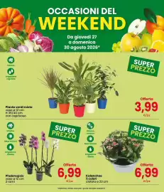 Volantino Interspar Pagina 3: Kalanchoe €6,99, Phalenopsis €6,99