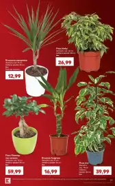 Catalog Kaufland săptămâna 35 Pagină 27