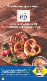 Catálogo Lidl | bazar Página 22