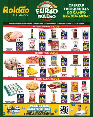 Folheto Roldão (válido até 26-08)