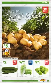 Foodland catalogue week 35 Page 5: Wombok Chinese Cabbage €4,80, Loose Brussel Sprouts €7,90