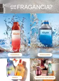 Catálogo Natura Página 20