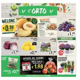 Volantino Maxi Coal Pagina 3: Insalata mista con cipolla Coal €0,89