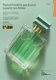 Catálogo Oriflame Página 31