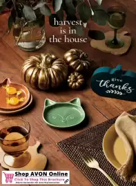Avon catalogue Page 160