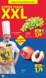 Catálogo Lidl semana 36 Página 24: Nectarina €1,75, Lidl Uva blanca cotton candy €1,69