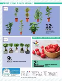 Catalogue E.Leclerc Express page 6: Plantes bebe per le con avec garnie €12,50, Tomate cerise rouge allongée €2,49