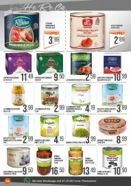 Volantino Cash pro Pagina 34: La Fiammante Funghi €4,19, Melanzane D'Amico €13,49