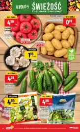 Polomarket gazetka tydzień 35 Strona 10: Ogórki gruntowe €4,99, Mix sałat z roszponką Sole Gusto €4,99
