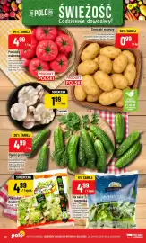 Polomarket gazetka tydzień 35 Strona 10: Ogórki gruntowe €4,99, Mix sałat z roszponką Sole Gusto €4,99