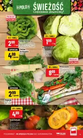 Polomarket gazetka tydzień 35 Strona 11: Sałata masłowa €2,99, Koperek €2,99