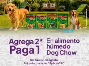 Catálogo Jumbo Página 15