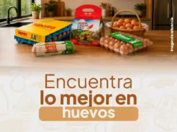 Catálogo Jumbo Página 3