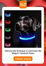 Temu gazetka Strona 4