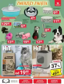 Selgros gazetka Strona 27: Zabawka świnka 14,4 cm €17,10, Zabawka świnka 20 cm €24,48