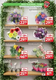 Catalog Auchan Pagină 35: Buchet trandafiri și frezii €29,99, Buchet mixt multicolor €29,99
