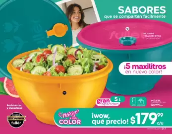 Catálogo Fuller Página 109