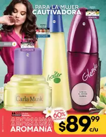 Catálogo Fuller Página 17
