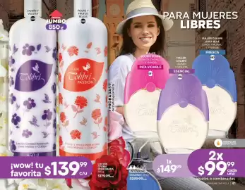 Catálogo Fuller Página 21