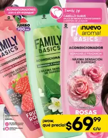 Catálogo Fuller Página 61