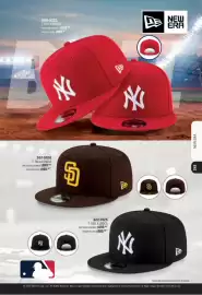 Catálogo Andrea Página 243