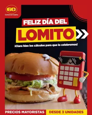 Catálogo Comercial Castro (válido hasta 28-08)
