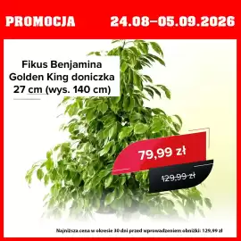 Szarotka gazetka Strona 1