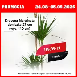 Szarotka gazetka Strona 2