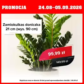 Szarotka gazetka Strona 3