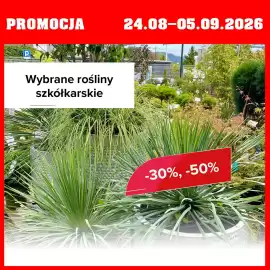 Szarotka gazetka Strona 7