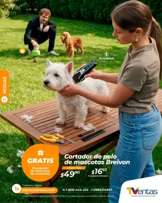 TVentas (válido hasta 30-08)