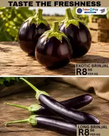 Take 'n Pay catalogue Page 32