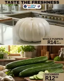 Take 'n Pay catalogue Page 33