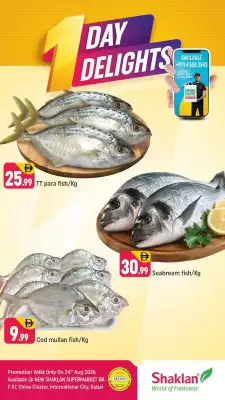 Shaklan (valid until 24-08)