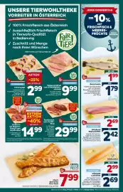 Billa Flugblatt woche 35 Seite 11
