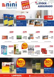 Catálogo Nini Mayorista semana 35 Página 13: Patito guantes clásico €2.499,00, Virulana esponja fibra cuadriculada €579,00