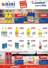 Catálogo Nini Mayorista semana 35 Página 9: Raid insect. tabletas rapida accion €3.399,00