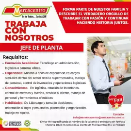 Catálogo MercaCentro semana 35 Página 11